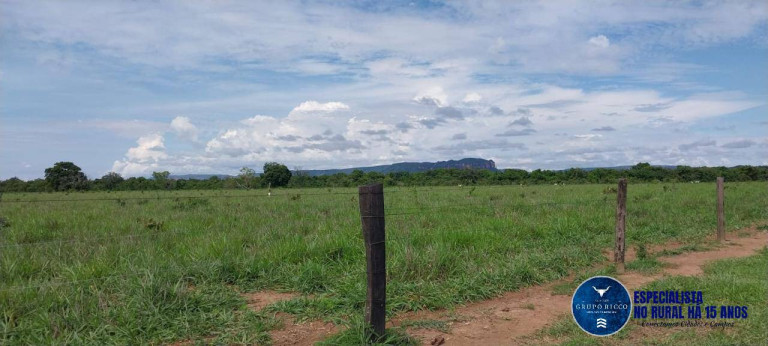 Imagem Fazenda à Venda, 384 m² em Zona Rural - Barra Do Garças Imagem Fazenda à Venda, 384 m² em Zona Rural - Barra Do Garças