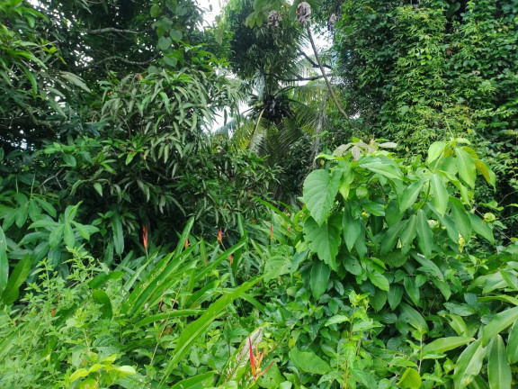 Imagem Terreno à Venda, 504 m² em Vera Cruz Imagem Terreno à Venda, 504 m² em Vera Cruz