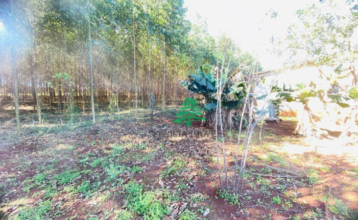 Imagem Chácara com 3 Quartos à Venda, 3.870 m² em Aparecidinha - Santa Terezinha De Itaipu Imagem Chácara com 3 Quartos à Venda, 3.870 m² em Aparecidinha - Santa Terezinha De Itaipu