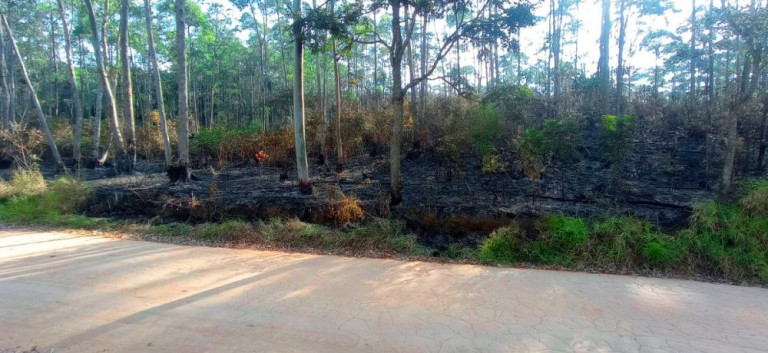 Imagem Imóvel à Venda, 266.200 m² em Pedra Vermelha (terra Preta) - Mairiporã Imagem Imóvel à Venda, 266.200 m² em Pedra Vermelha (terra Preta) - Mairiporã