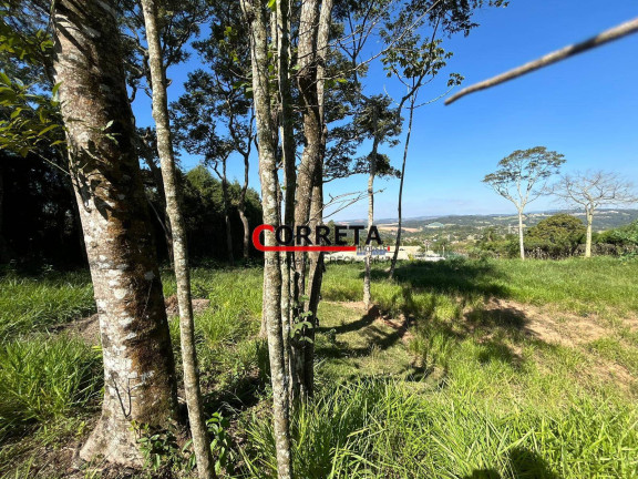 Imagem Terreno à Venda, 2.000 m² em Centro - Ibiúna Imagem Terreno à Venda, 2.000 m² em Centro - Ibiúna