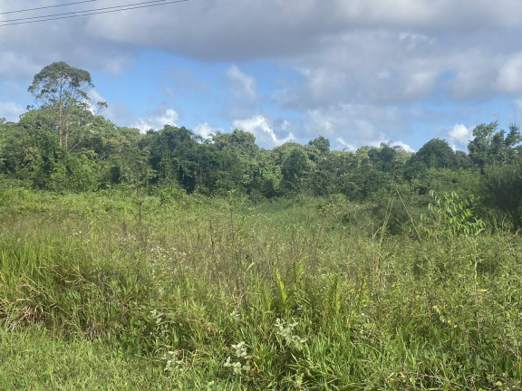Imagem Terreno à Venda, 156.000 m² em Belas Artes - Itanhaém Imagem Terreno à Venda, 156.000 m² em Belas Artes - Itanhaém