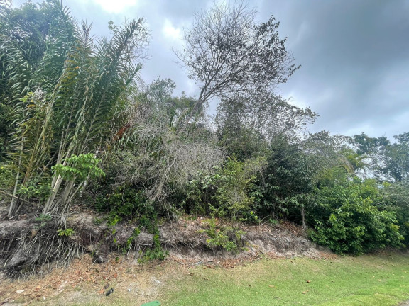 Imagem Terreno à Venda, 800 m² em Praia Do Forte - Mata De São João Imagem Terreno à Venda, 800 m² em Praia Do Forte - Mata De São João