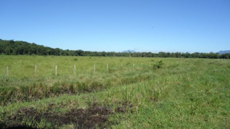 Imagem Imóvel à Venda, 250.000 m² em Santa Catarina - Joinville