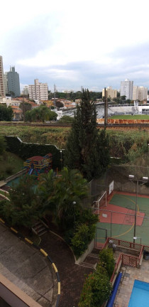 Imagem Apartamento com 3 Quartos à Venda, 80 m² em Ponte Preta - Campinas