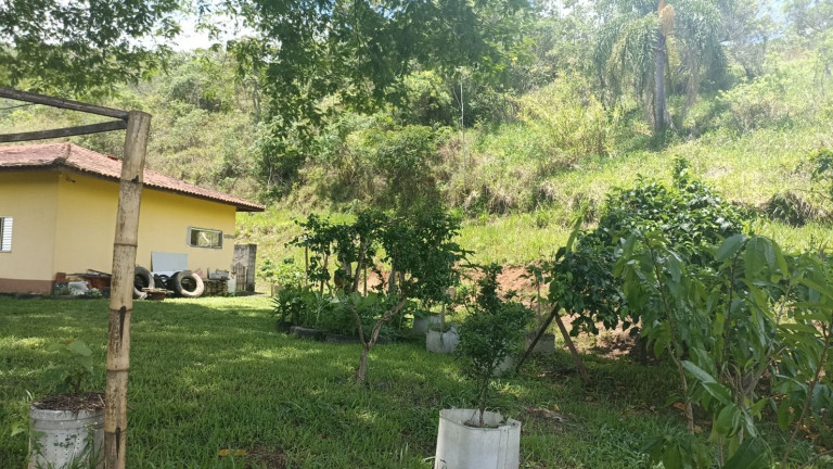 Imagem Chácara com 4 Quartos à Venda, 400 m² em Centro - Jambeiro Imagem Chácara com 4 Quartos à Venda, 400 m² em Centro - Jambeiro