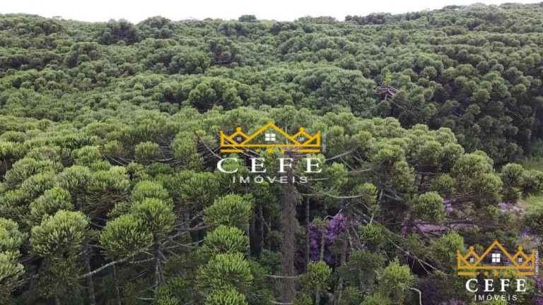 Imagem Sala Comercial à Venda, 200 m² em Serra Grande - Três Coroas