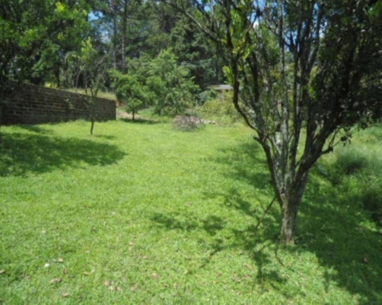 Imagem Casa com 2 Quartos à Venda, 100 m² em Logradouro - Nova Petrópolis Imagem Casa com 2 Quartos à Venda, 100 m² em Logradouro - Nova Petrópolis