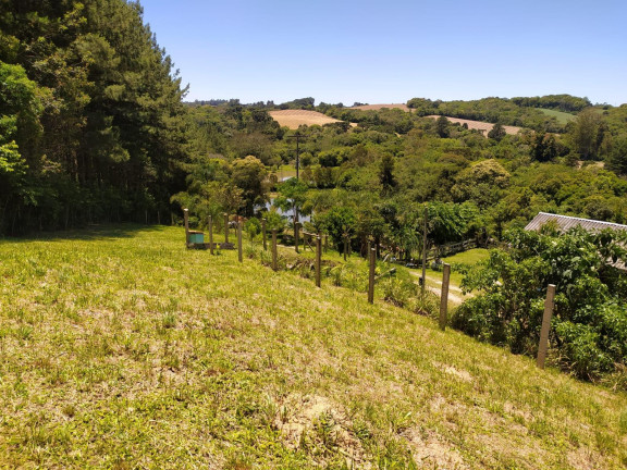Imagem Imóvel com 3 Quartos à Venda, 27.000 m² em Centro - Contenda Imagem Imóvel com 3 Quartos à Venda, 27.000 m² em Centro - Contenda