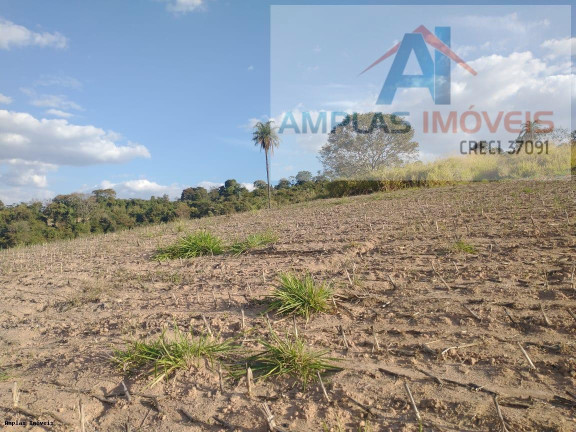 Imagem Fazenda à Venda, 60 m² em Azurita