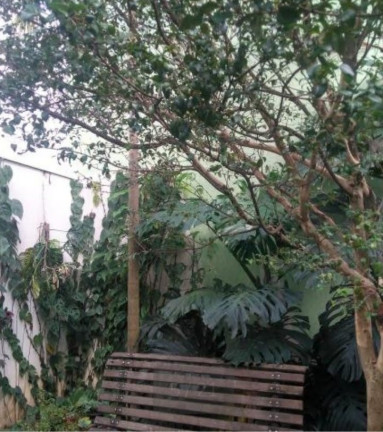 Imagem Casa com 3 Quartos à Venda, 300 m² em Moinho Velho - Sp Imagem Casa com 3 Quartos à Venda, 300 m² em Moinho Velho - Sp