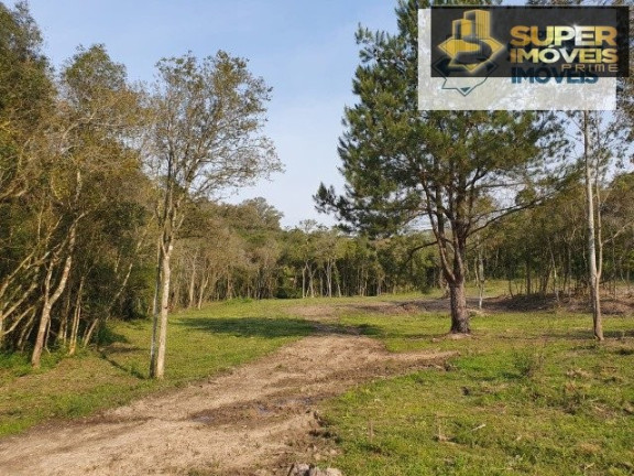 Imagem Imóvel com 1 Quarto à Venda, 30.000 m² em Cascata - Pelotas