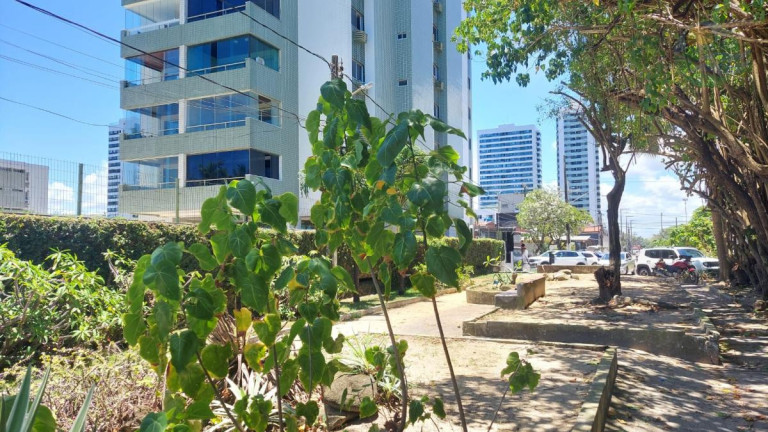 Imagem Apartamento com 3 Quartos à Venda, 197 m² Imagem Apartamento com 3 Quartos à Venda, 197 m²