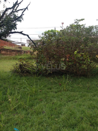 Imagem Casa com 3 Quartos à Venda, 173 m² em Centro - Itapetininga