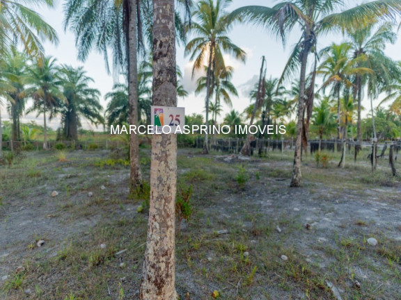 Imagem Imóvel à Venda, em Ilha De Contrato - Igrapiúna Imagem Imóvel à Venda, em Ilha De Contrato - Igrapiúna