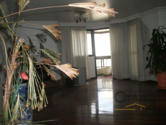 Imagem Apartamento com 3 Quartos à Venda, 218 m² em Jardim São Paulo (zona Norte) - São Paulo Imagem Apartamento com 3 Quartos à Venda, 218 m² em Jardim São Paulo (zona Norte) - São Paulo