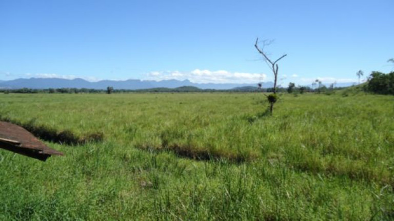 Imagem Imóvel à Venda, 250.000 m² em Santa Catarina - Joinville