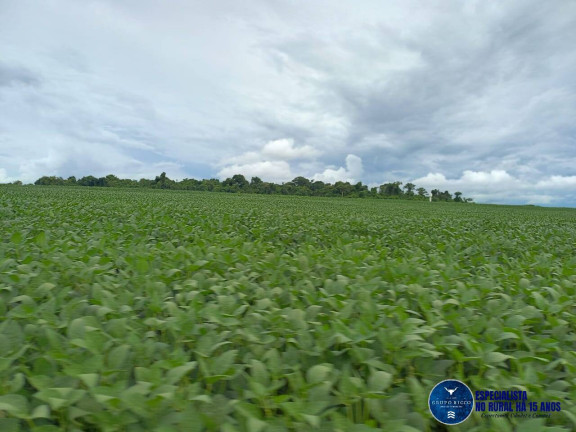 Imagem Fazenda à Venda, 60 m² em Zona Rural - Itaberaí Imagem Fazenda à Venda, 60 m² em Zona Rural - Itaberaí