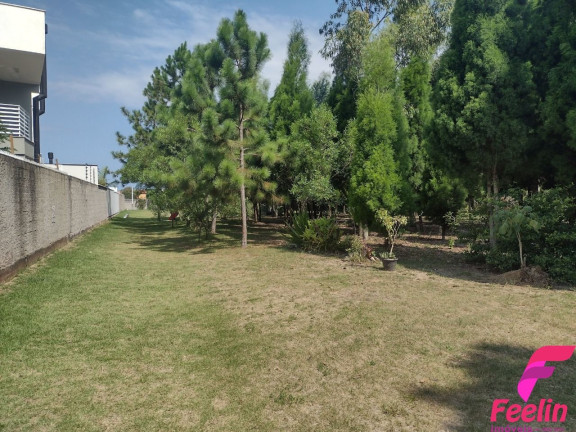Casa com 3 Quartos à Venda, 204 m² em Campeche - Florianópolis
