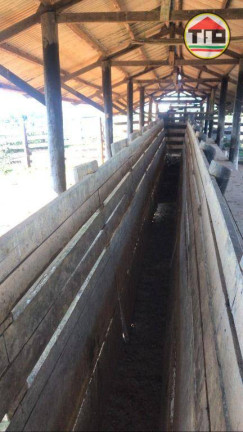 Imagem Fazenda à Venda, 8.131.200 m² em Logradouro Sem Nome, Novo Repartimento - Pa, 68473-000, Brasil -4.759492, -49.588326 - Novo Repartimento Imagem Fazenda à Venda, 8.131.200 m² em Logradouro Sem Nome, Novo Repartimento - Pa, 68473-000, Brasil -4.759492, -49.588326 - Novo Repartimento