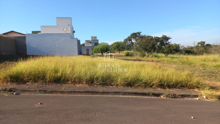 Imagem Terreno à Venda, 319 m² em Jardim Elite - Mogi Mirim Imagem Terreno à Venda, 319 m² em Jardim Elite - Mogi Mirim