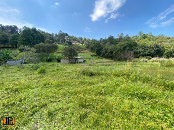 Imagem Imóvel com 2 Quartos à Venda, 7.000 m² em Girassol - São Lourenço Da Serra Imagem Imóvel com 2 Quartos à Venda, 7.000 m² em Girassol - São Lourenço Da Serra