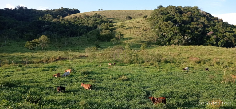 Imagem Fazenda à Venda, 1.010.000 m² em Jardim São Dimas - São José Dos Campos