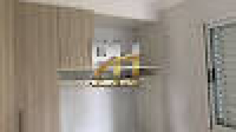 Imagem Apartamento com 2 Quartos à Venda, 55 m² em Demarchi - São Bernardo Do Campo Imagem Apartamento com 2 Quartos à Venda, 55 m² em Demarchi - São Bernardo Do Campo