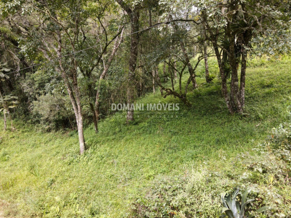 Imagem Terreno à Venda, 1.270 m² em Região Do Imbiri - Campos Do Jordão Imagem Terreno à Venda, 1.270 m² em Região Do Imbiri - Campos Do Jordão