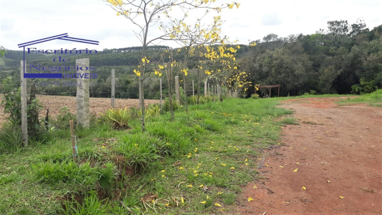 Imagem Imóvel com 3 Quartos à Venda, 120 m² em Cerro Chato - Sentinela Do Sul Imagem Imóvel com 3 Quartos à Venda, 120 m² em Cerro Chato - Sentinela Do Sul