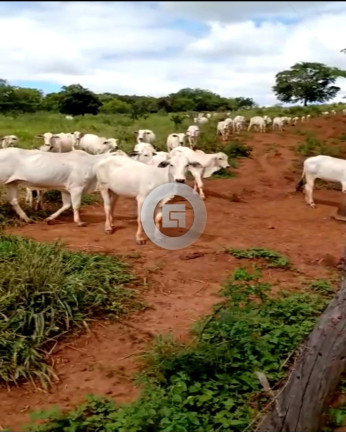 Imagem Imóvel com 5 Quartos à Venda, 100 m² em Nova Esperança - Montes Claros Imagem Imóvel com 5 Quartos à Venda, 100 m² em Nova Esperança - Montes Claros