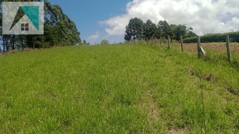 Imagem Chácara à Venda, 2.000 m² em Bairro Santo Expedito - Toledo