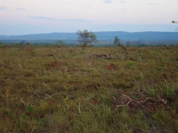 Imagem Fazenda à Venda, 1.560 m² em Centro - Nova Brasilândia Imagem Fazenda à Venda, 1.560 m² em Centro - Nova Brasilândia