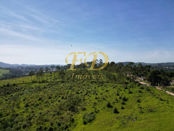 Imagem Imóvel Comercial à Venda, 380.000 m² em Terra Preta - Mairiporã Imagem Imóvel Comercial à Venda, 380.000 m² em Terra Preta - Mairiporã