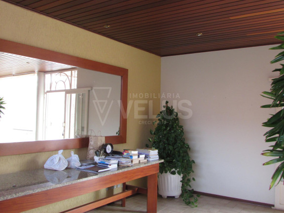 Imagem Casa com 2 Quartos à Venda, 410 m² em Centro - Itapetininga