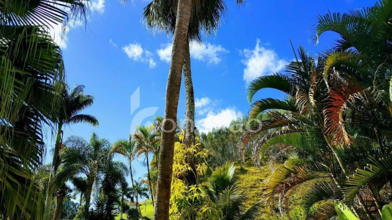 Imagem Chácara com 5 Quartos à Venda, 500 m² em Bairro Laranjeira - Paraibuna Imagem Chácara com 5 Quartos à Venda, 500 m² em Bairro Laranjeira - Paraibuna