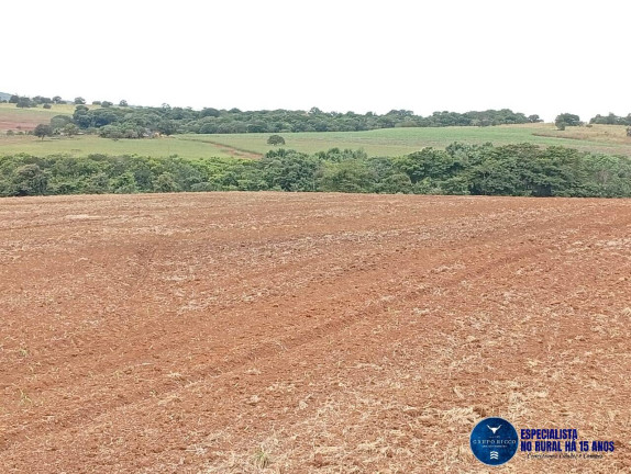 Imagem Fazenda à Venda, 33 m² em Zona Rural - Caiapônia Imagem Fazenda à Venda, 33 m² em Zona Rural - Caiapônia