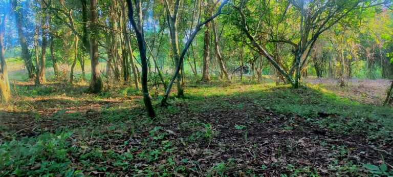 Imagem Chácara à Venda, 17.363 m² em São João Da Boa Vista Imagem Chácara à Venda, 17.363 m² em São João Da Boa Vista