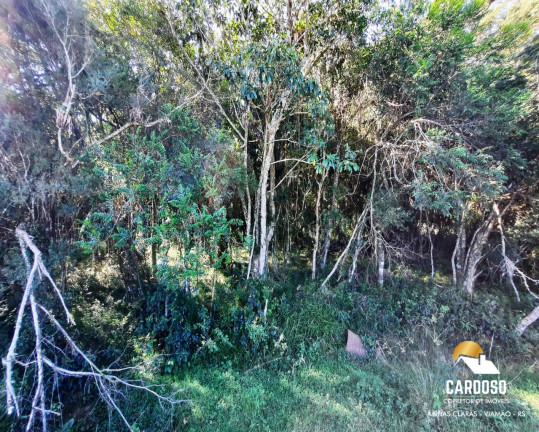 Imagem Imóvel com 4 Quartos à Venda, 120.000 m² em águas Claras - Viamão