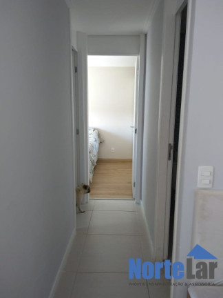 Imagem Apartamento com 2 Quartos à Venda, 49 m² em Vila Guilherme - São Paulo Imagem Apartamento com 2 Quartos à Venda, 49 m² em Vila Guilherme - São Paulo