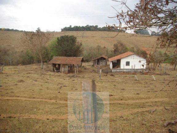 Imagem Imóvel com 4 Quartos à Venda, 1.694.000 m² em Zona Rural - Jacui Imagem Imóvel com 4 Quartos à Venda, 1.694.000 m² em Zona Rural - Jacui