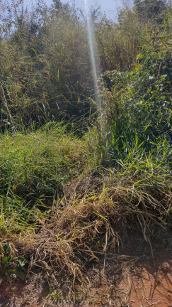 Imagem Imóvel à Venda, 1.000 m² em Vale Do Igapó - Bauru Imagem Imóvel à Venda, 1.000 m² em Vale Do Igapó - Bauru
