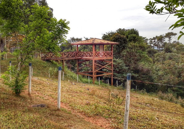 Imagem Imóvel com 8 Quartos à Venda, 32.000 m² em Curralinho - Igarapé