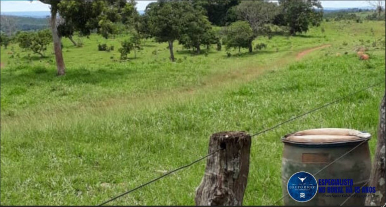 Imagem Fazenda à Venda, 209 m² em Zona Rural - Doverlândia Imagem Fazenda à Venda, 209 m² em Zona Rural - Doverlândia