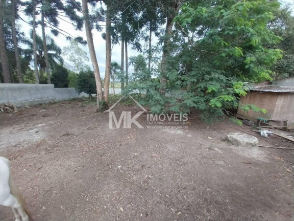 Imagem Terreno à Venda, em Planta Meireles - Piraquara Imagem Terreno à Venda, em Planta Meireles - Piraquara