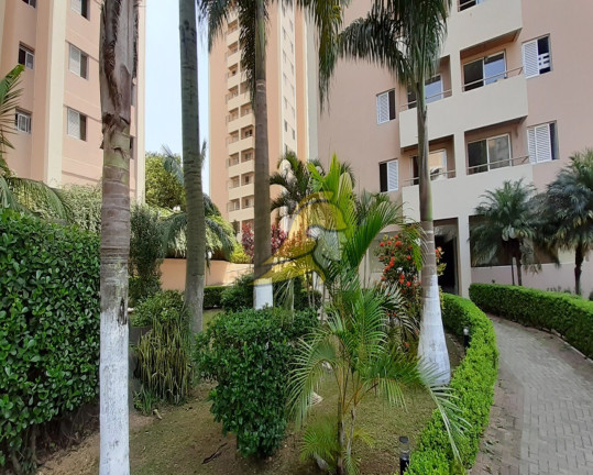 Imagem Apartamento com 3 Quartos à Venda, 65 m² em Jardim Jaqueline - São Paulo
