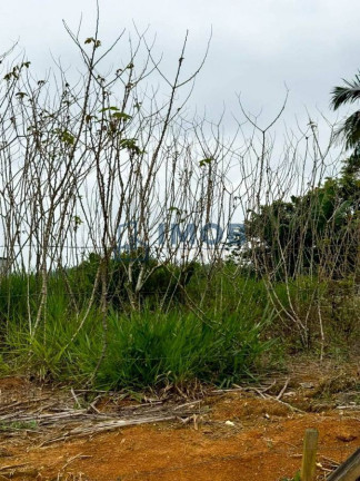 Imagem Terreno à Venda, 461 m² em Corticeira - Guaramirim