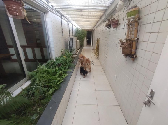 Imagem Sobrado com 3 Quartos à Venda, 750 m² em Vila Hamburguesa - São Paulo Imagem Sobrado com 3 Quartos à Venda, 750 m² em Vila Hamburguesa - São Paulo