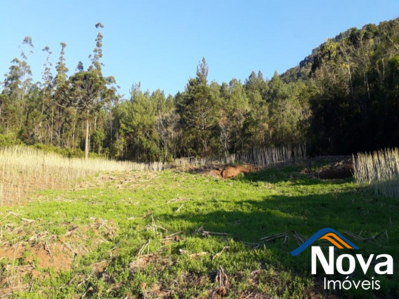 Imagem Imóvel à Venda, 60.000 m² em Linha Riachuelo - Nova Petrópolis Imagem Imóvel à Venda, 60.000 m² em Linha Riachuelo - Nova Petrópolis