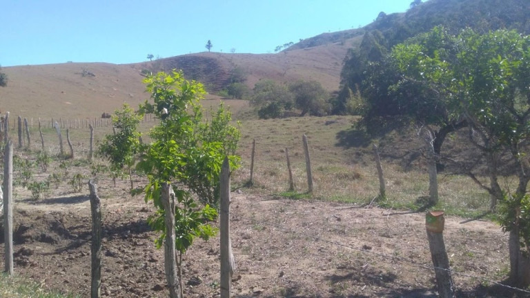 Imagem Fazenda à Venda, 100 m² em Vila Rica - Cunha Imagem Fazenda à Venda, 100 m² em Vila Rica - Cunha